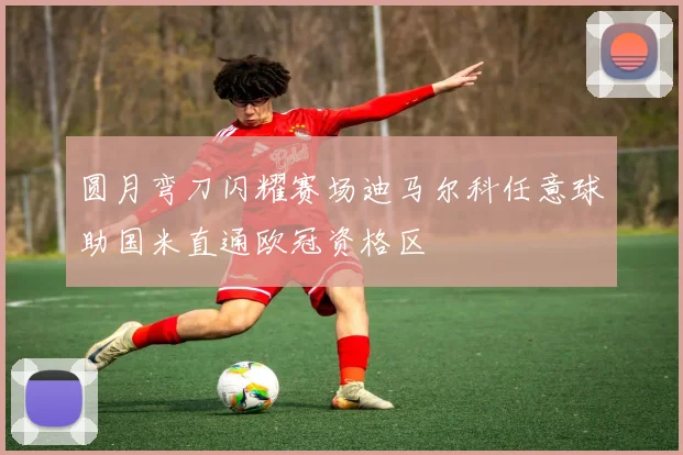 圆月弯刀闪耀赛场迪马尔科任意球助国米直通欧冠资格区