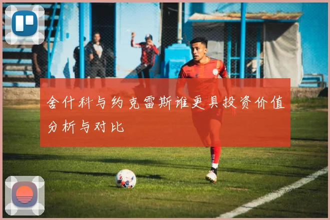 舍什科与约克雷斯谁更具投资价值分析与对比
