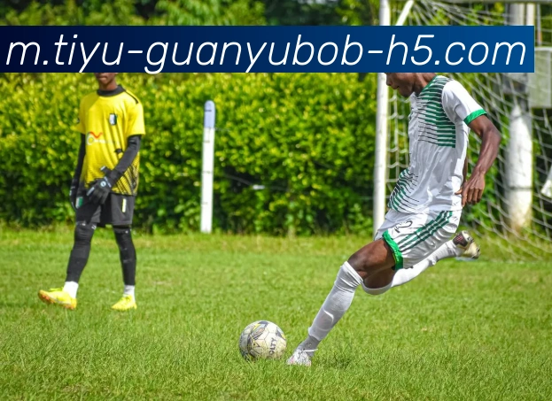 BOB体育平台生态图