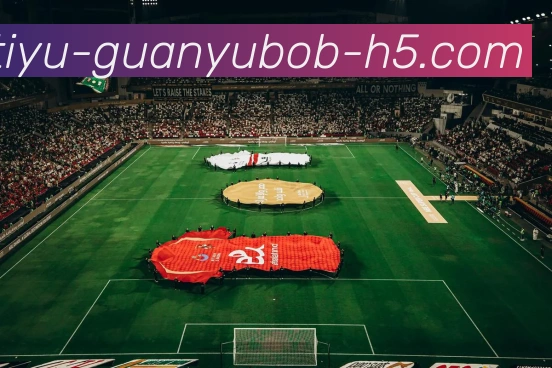 BOB体育APP 封面图